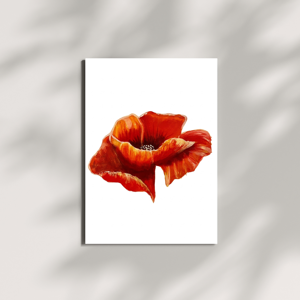 Poppy in Space Art Print